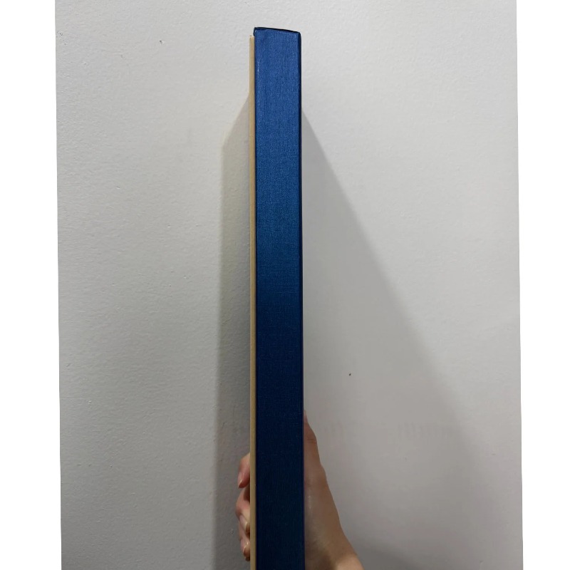 Electronic Fire Flasher Magic  - đánh giá và giá Cosplay Flame Prop
