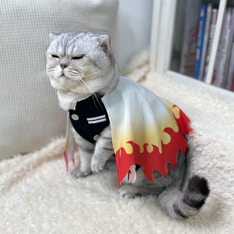 Demon Slayer Pet Cosplay Rengo - đánh giá và giá Cosplay Flame Prop
