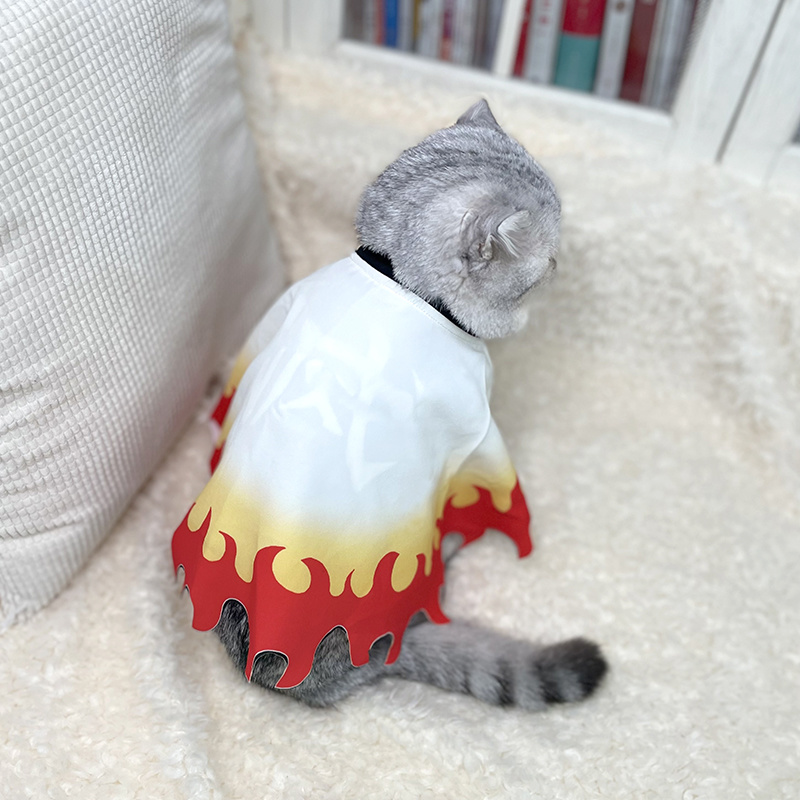 Demon Slayer Pet Cosplay Rengo - đánh giá và giá Cosplay Flame Prop